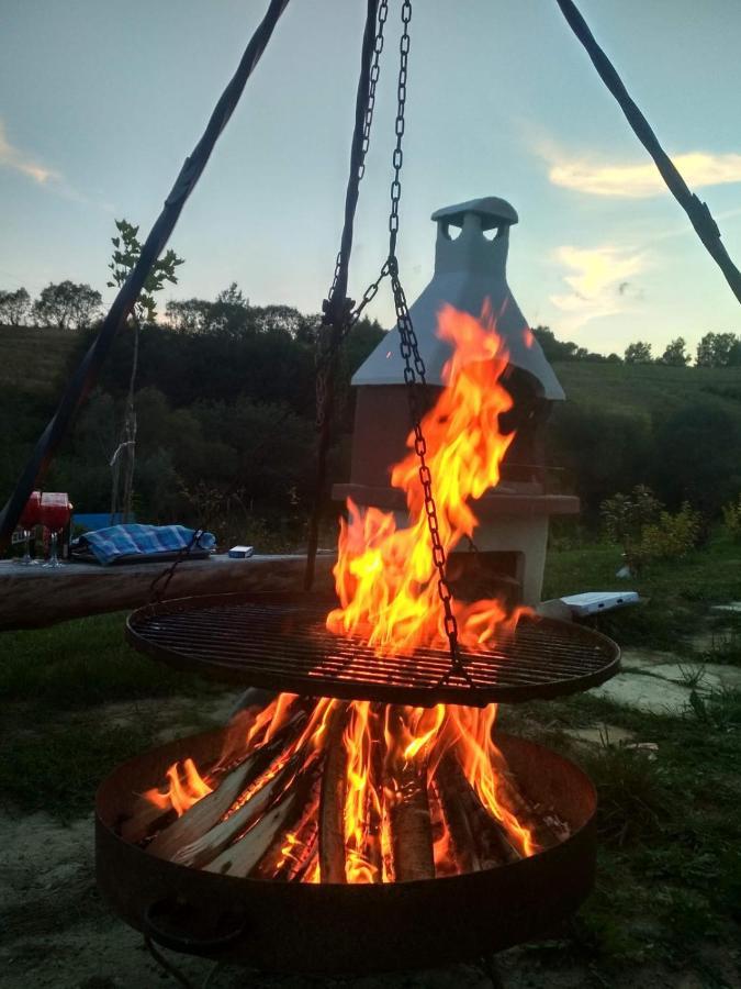 Domki W Bieszczadzkiej Dolinie Устрики-Долішні Екстер'єр фото
