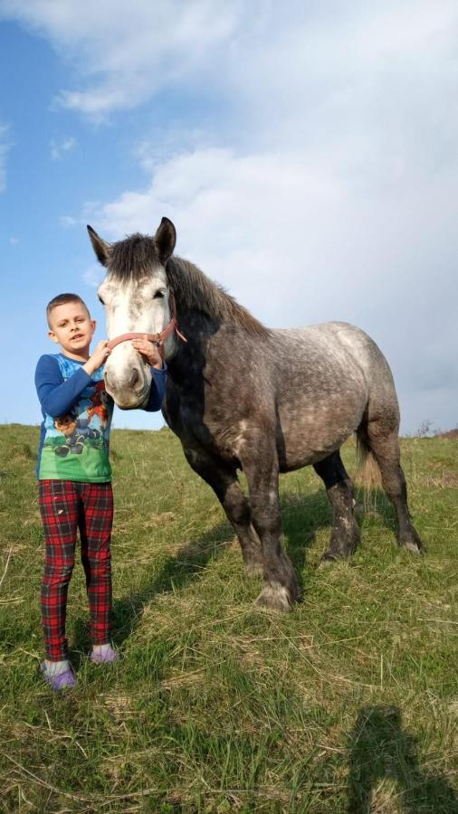 Domki W Bieszczadzkiej Dolinie Устрики-Долішні Екстер'єр фото