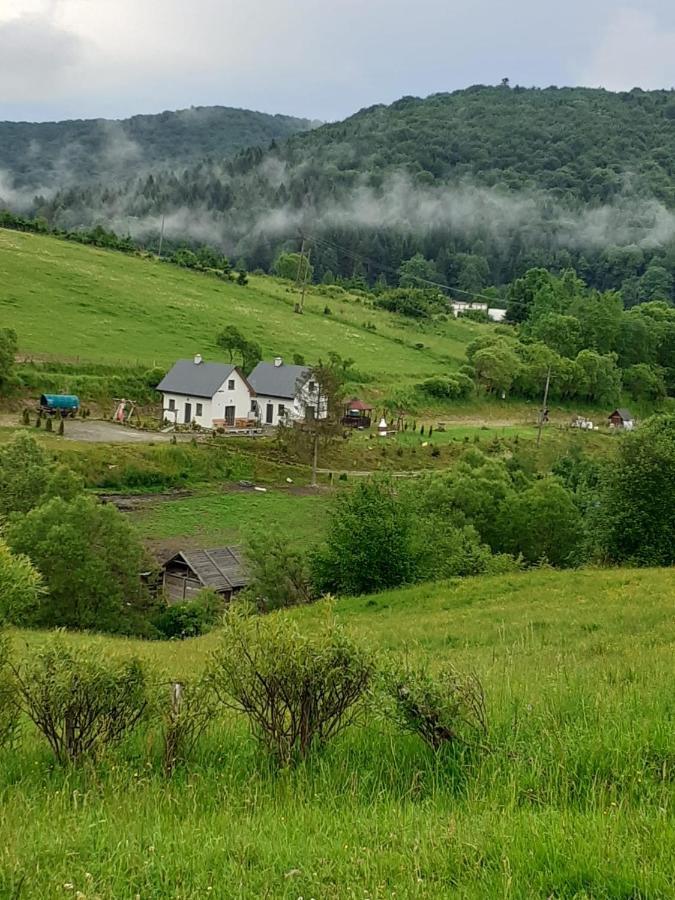 Domki W Bieszczadzkiej Dolinie Устрики-Долішні Екстер'єр фото